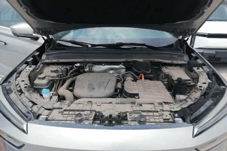 Used Wey Lanshan 2023 Four-Wheel Drive Ultra-Long Range Version Engine Bay