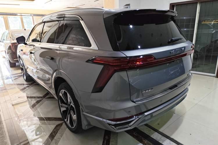 Used Wey Lanshan 2023 Four-Wheel Drive Ultra-Long Range Version Exterior 2