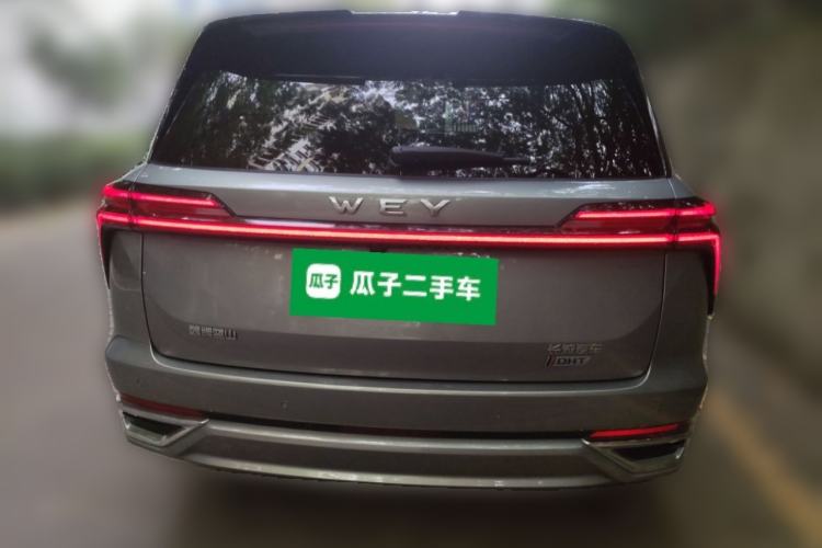 Used Wey Lanshan 2023 Four-Wheel Drive Ultra-Long Range Version Exterior 4