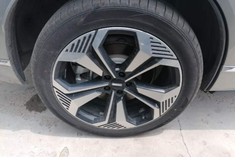 Used Wey Lanshan 2023 Four-Wheel Drive Ultra-Long Range Version Exterior 5