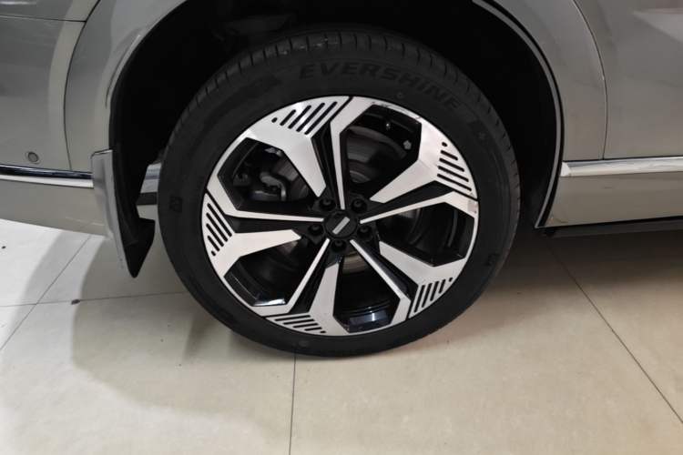 Used Wey Lanshan 2023 Four-Wheel Drive Ultra-Long Range Version Exterior 5