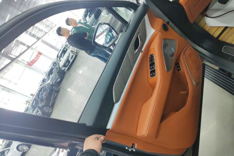Used Wey Lanshan 2023 Four-Wheel Drive Ultra-Long Range Version Left Front Door Interior