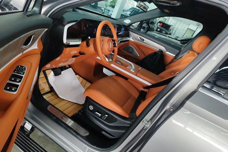 Used Wey Lanshan 2023 Four-Wheel Drive Ultra-Long Range Version Left Front Seat
