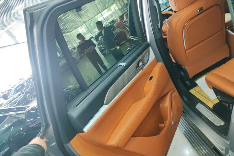Used Wey Lanshan 2023 Four-Wheel Drive Ultra-Long Range Version Left Rear Door Interior