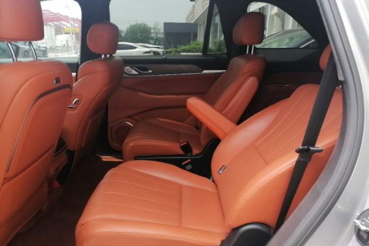 Used Wey Lanshan 2023 Four-Wheel Drive Ultra-Long Range Version Left Rear Seat