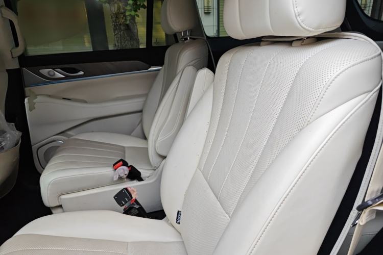 Used Wey Lanshan 2023 Four-Wheel Drive Ultra-Long Range Version Left Rear Seat