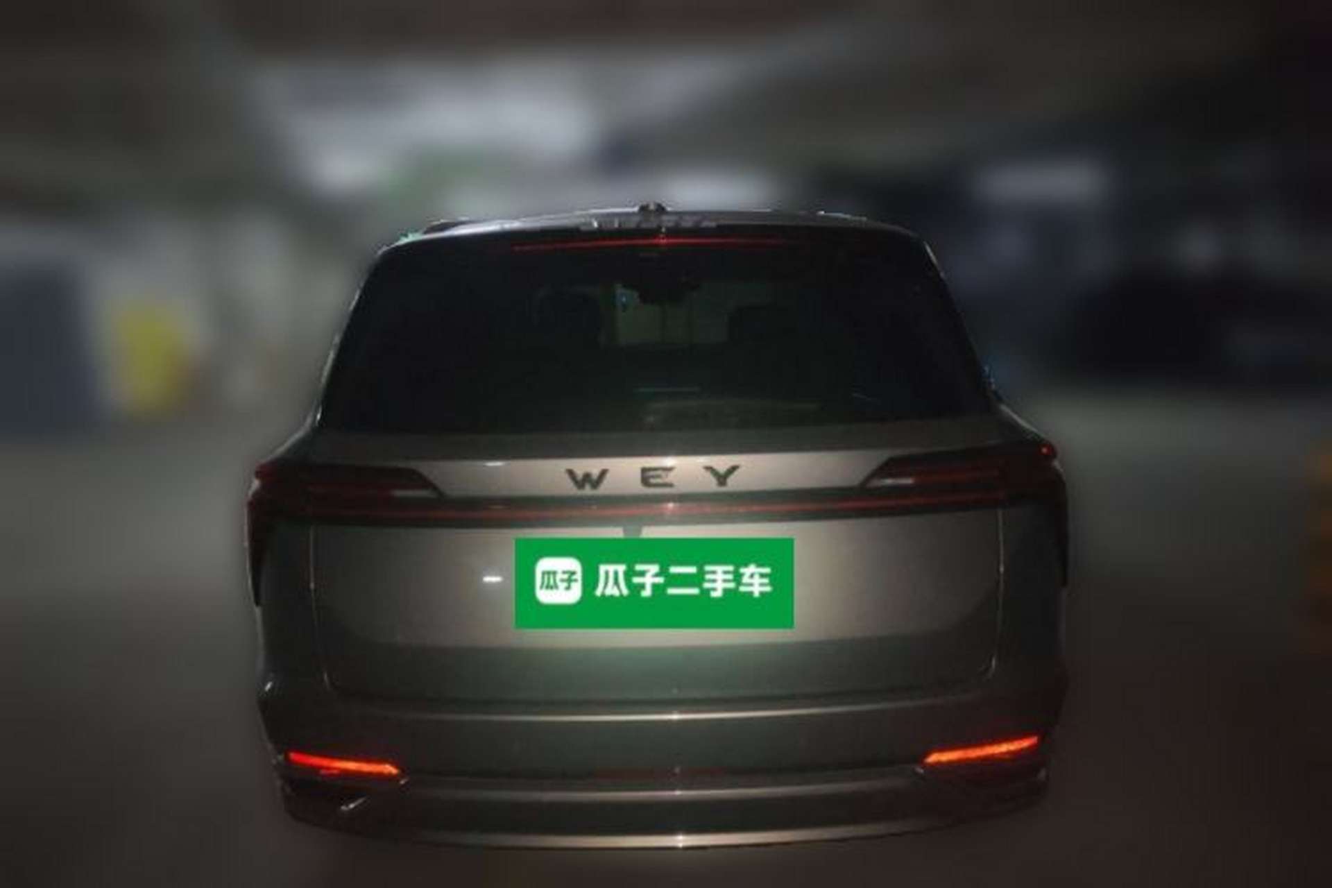 Used Wey Lanshan 2023 Two-Wheel Drive Long-Range Version Rear