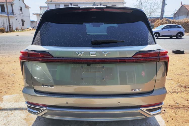 Used Wey Lanshan 2023 Four-Wheel Drive Ultra-Long Range Version Rear
