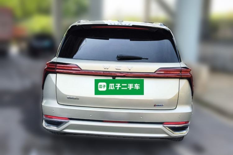 Used Wey Lanshan 2023 Four-Wheel Drive Ultra-Long Range Version Rear