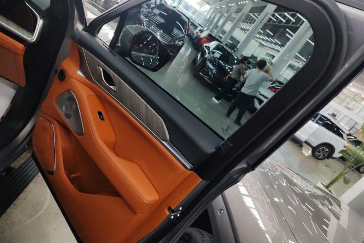 Used Wey Lanshan 2023 Four-Wheel Drive Ultra-Long Range Version Right Front Door Interior