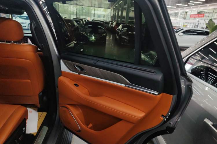 Used Wey Lanshan 2023 Four-Wheel Drive Ultra-Long Range Version Right Rear Door Interior