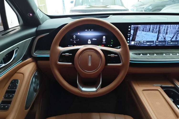 Used Wey Lanshan 2023 Four-Wheel Drive Ultra-Long Range Version Steering Wheel