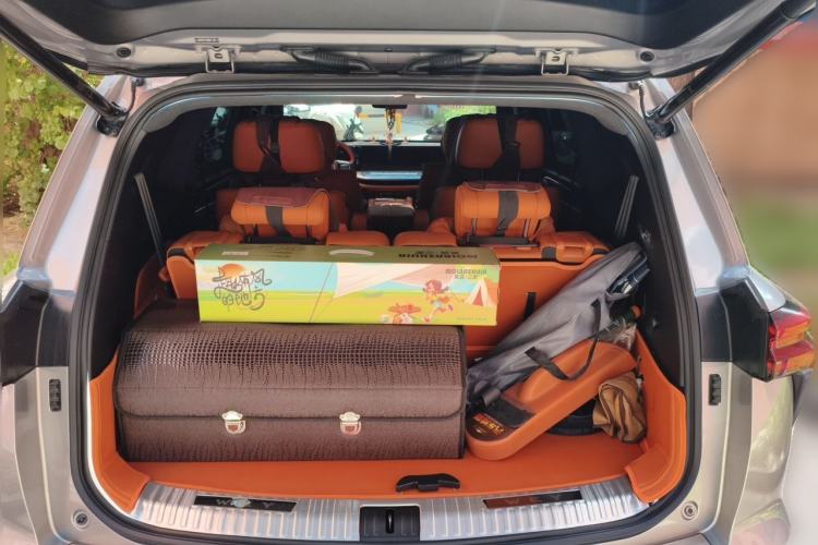 Used Wey Lanshan 2023 Four-Wheel Drive Ultra-Long Range Version Trunk