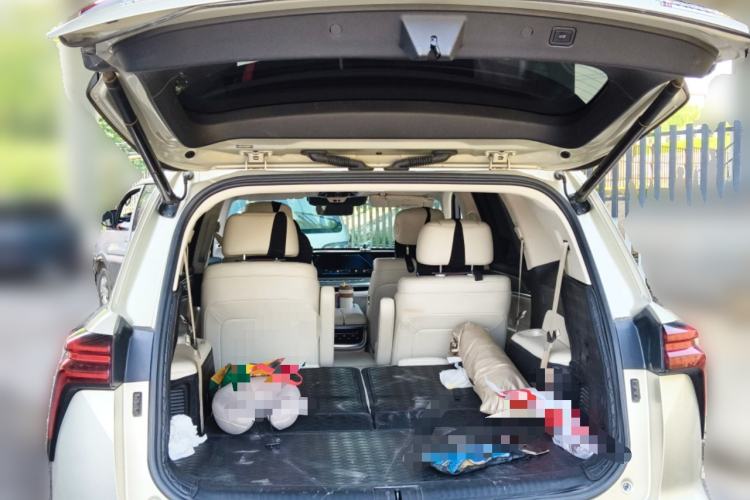 Used Wey Lanshan 2023 Four-Wheel Drive Ultra-Long Range Version Trunk