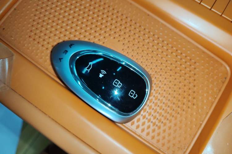 Used Wey Lanshan 2023 Four-Wheel Drive Ultra-Long Range Version Vehicle Key