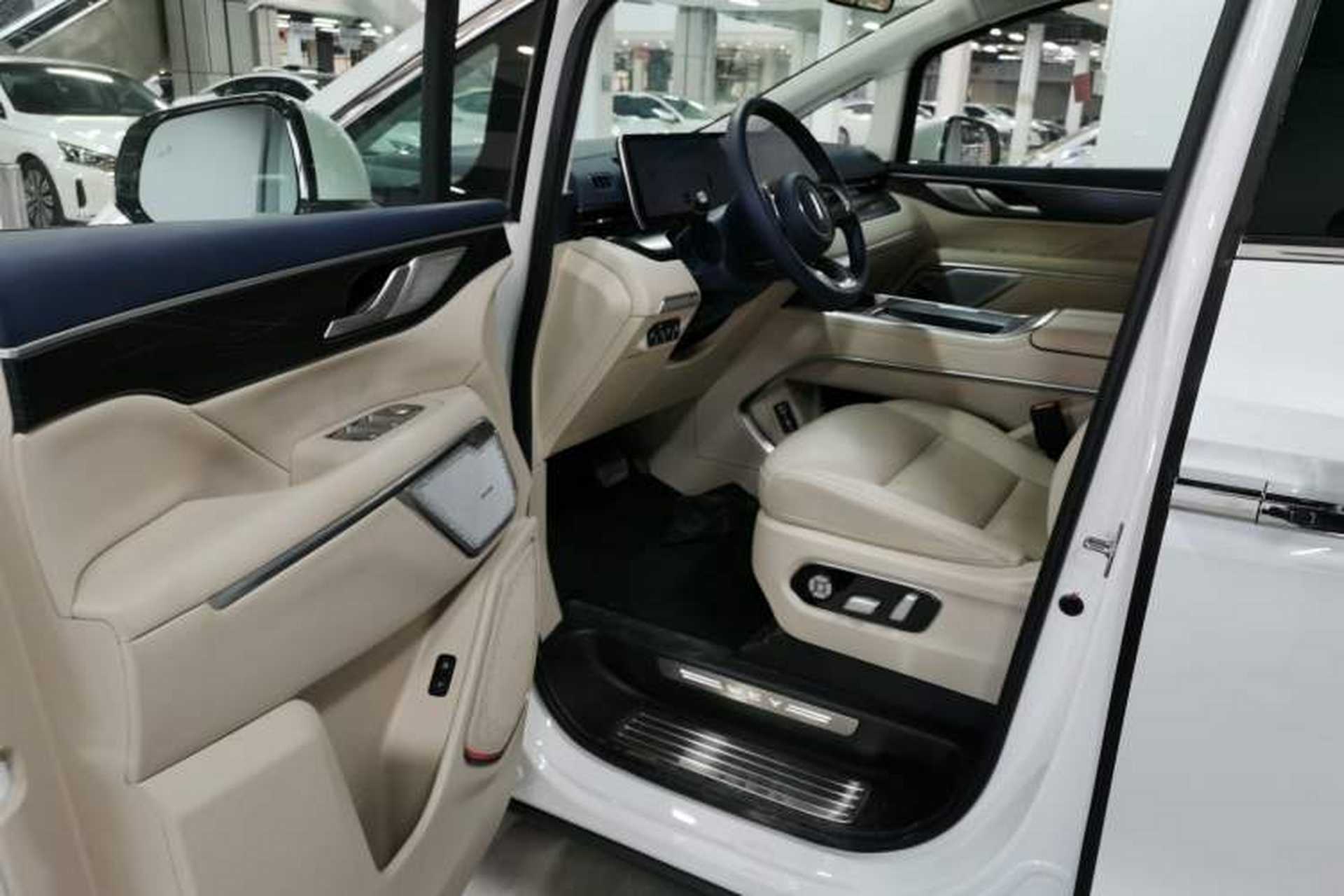 Used Wey Lanshan 2023 Four-Wheel Drive Ultra-Long Range Version Driver Seat