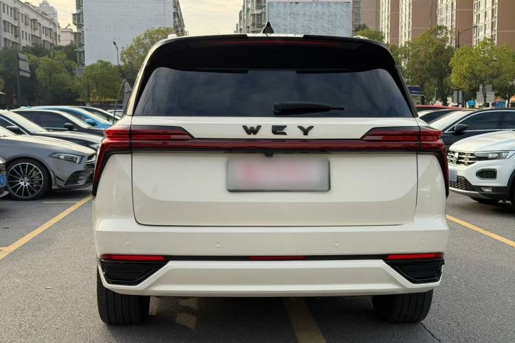 Used Wey Lanshan 2023 Four-Wheel Drive Ultra-Long Range Version Exterior 3