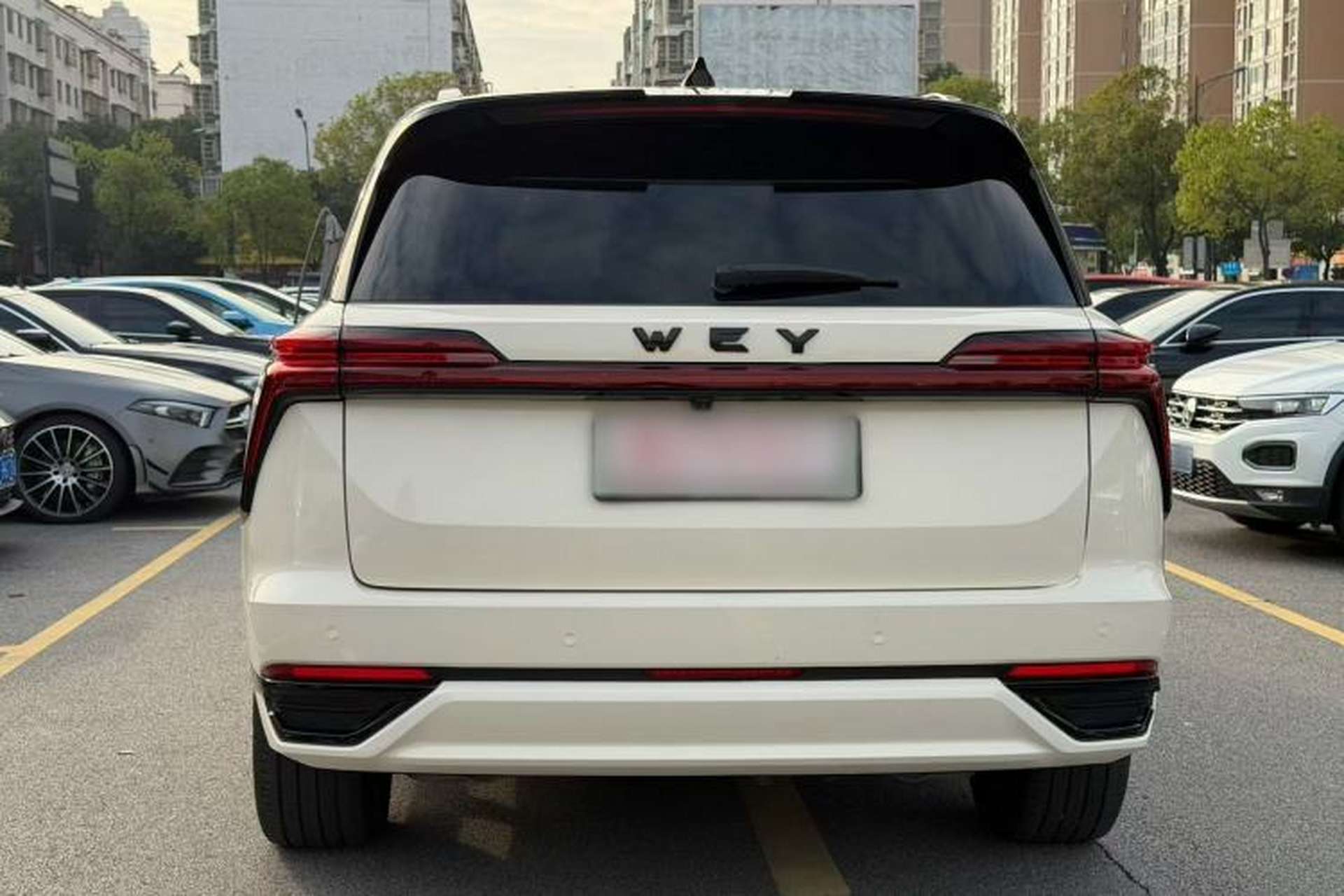 Used Wey Lanshan 2023 Four-Wheel Drive Ultra-Long Range Version Exterior 3