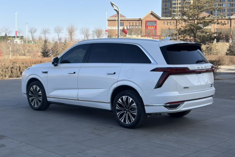 Used Wey Lanshan 2023 Four-Wheel Drive Ultra-Long Range Version Exterior 3