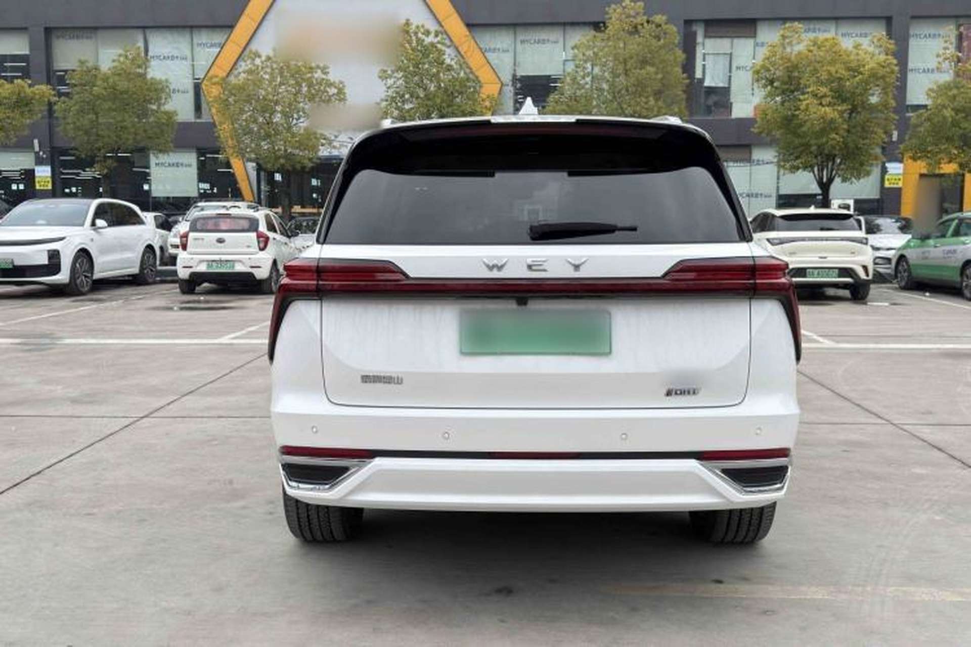 Used Wey Lanshan 2023 Four-Wheel Drive Ultra-Long Range Version Exterior 5