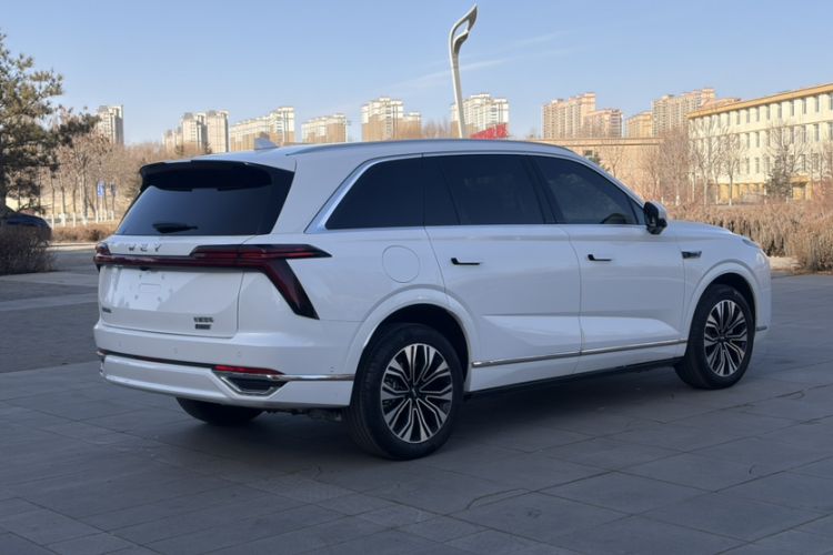 Used Wey Lanshan 2023 Four-Wheel Drive Ultra-Long Range Version Exterior 5