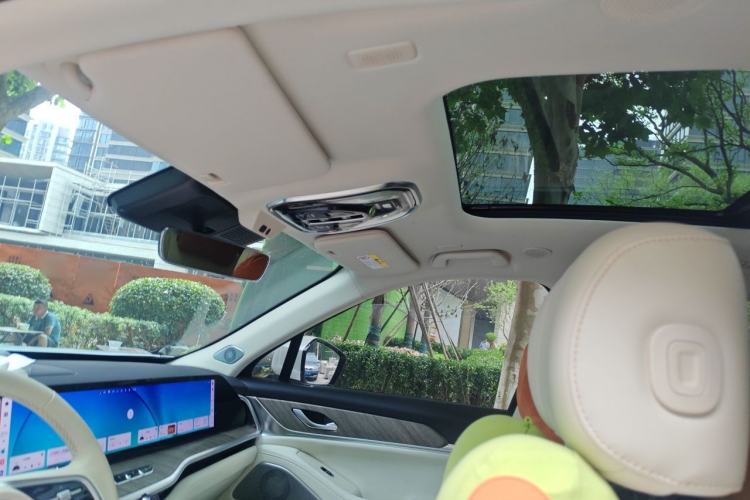 Used Wey Lanshan 2023 Four-Wheel Drive Ultra-Long Range Version Headliner
