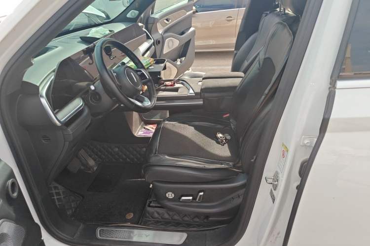 Used Wey Lanshan 2023 Four-Wheel Drive Ultra-Long Range Version Left Front Seat