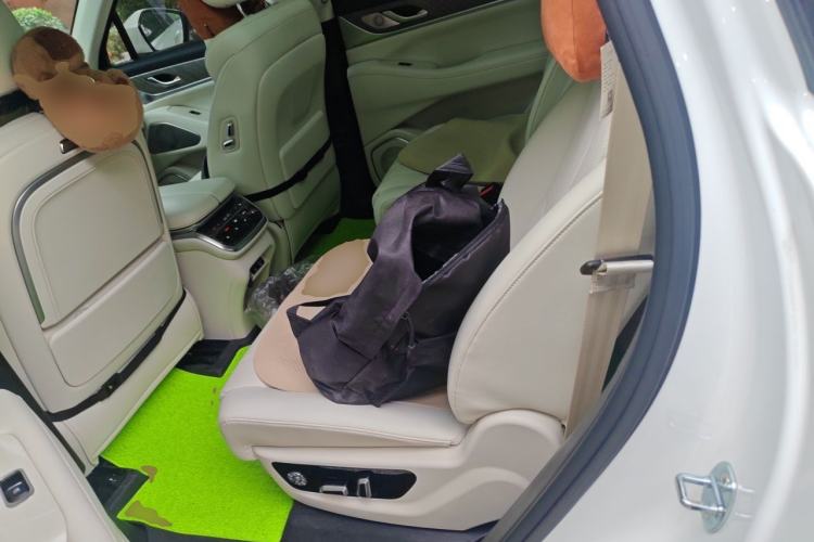 Used Wey Lanshan 2023 Four-Wheel Drive Ultra-Long Range Version Left Rear Seat