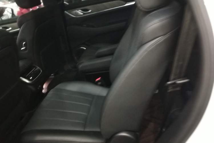 Used Wey Lanshan 2023 Four-Wheel Drive Ultra-Long Range Version Left Rear Seat