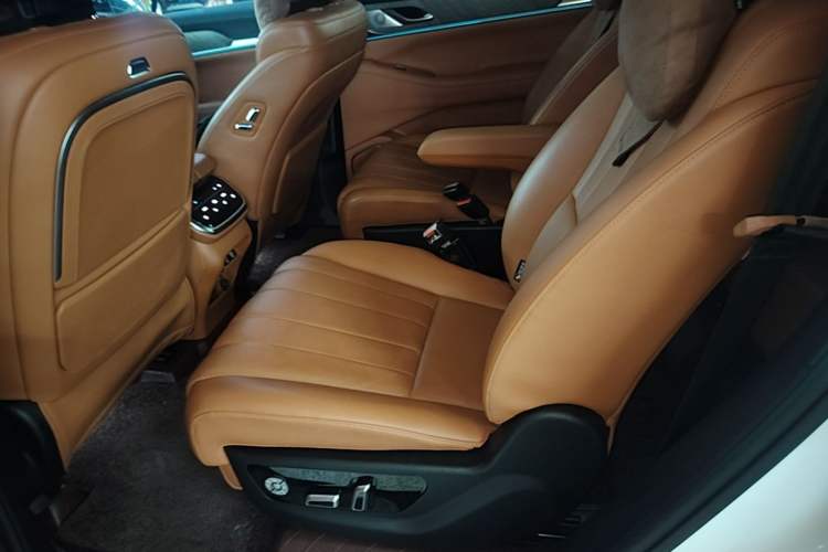 Used Wey Lanshan 2023 Four-Wheel Drive Ultra-Long Range Version Left Rear Seat