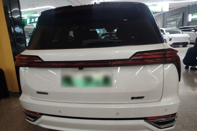 Used Wey Lanshan 2023 Four-Wheel Drive Ultra-Long Range Version Rear