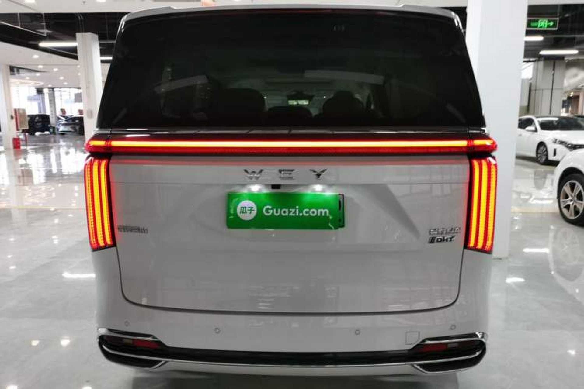Used Wey Lanshan 2023 Four-Wheel Drive Ultra-Long Range Version Rear