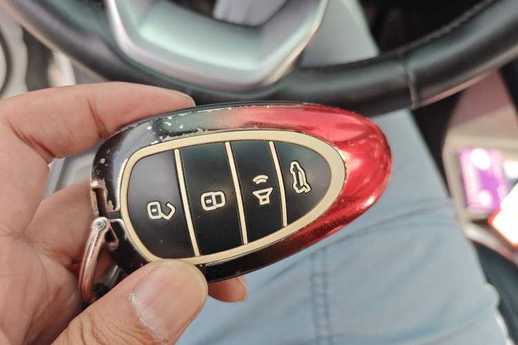 Used Wey Lanshan 2023 Four-Wheel Drive Ultra-Long Range Version Vehicle Key