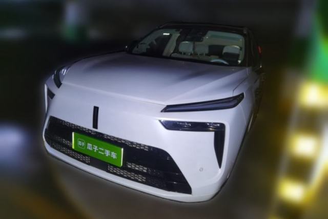 Used Wey Lanshan 2023 Four-Wheel Drive Ultra-Long Range Version