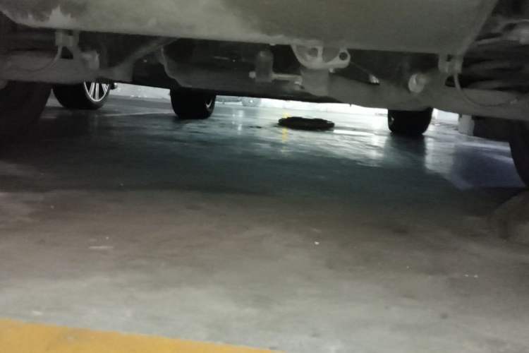 Used Wey Lanshan 2023 Four-Wheel Drive Ultra-Long Range Version Chassis Rear