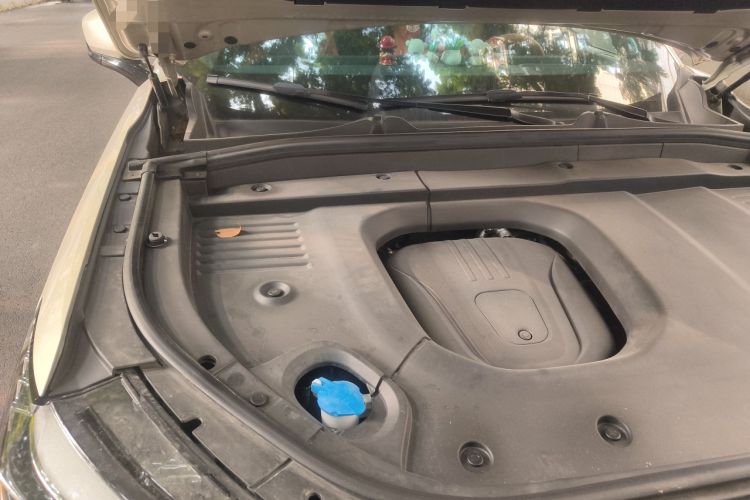 Used Wey Lanshan 2023 Four-Wheel Drive Ultra-Long Range Version Engine Bay Right