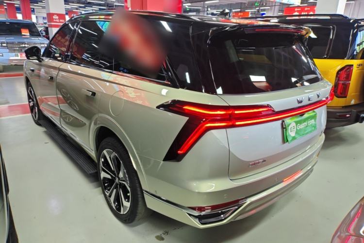Used Wey Lanshan 2023 Four-Wheel Drive Ultra-Long Range Version Exterior 2