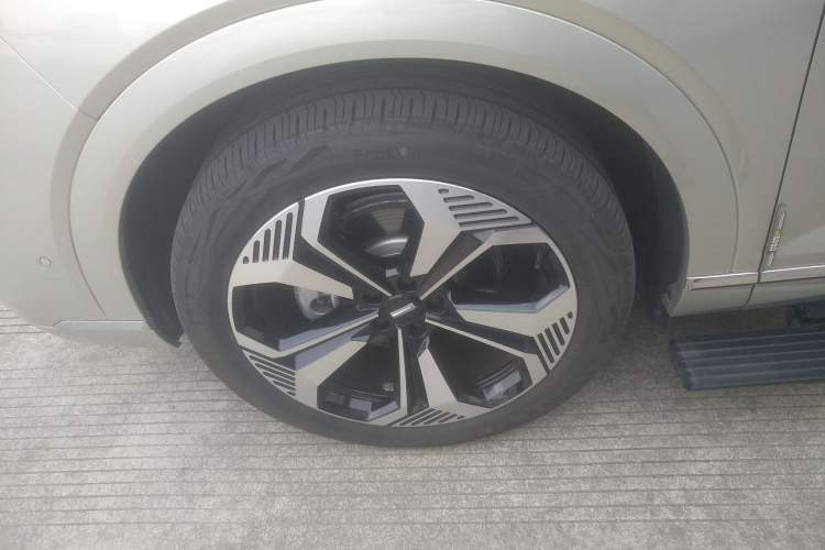 Used Wey Lanshan 2023 Four-Wheel Drive Ultra-Long Range Version Exterior 2