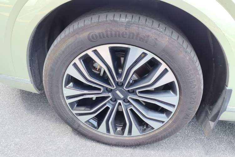 Used Wey Lanshan 2023 Two-Wheel Drive Long-Range Version Exterior 2
