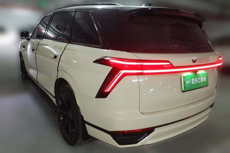 Used Wey Lanshan 2023 Four-Wheel Drive Ultra-Long Range Version Exterior 3