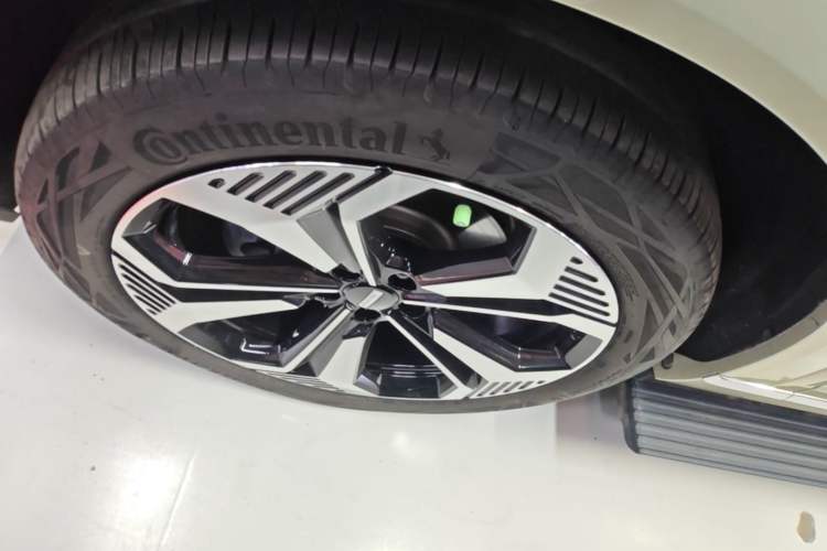 Used Wey Lanshan 2023 Four-Wheel Drive Ultra-Long Range Version Exterior 4