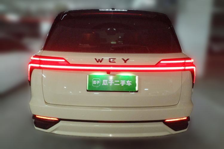 Used Wey Lanshan 2023 Four-Wheel Drive Ultra-Long Range Version Exterior 4