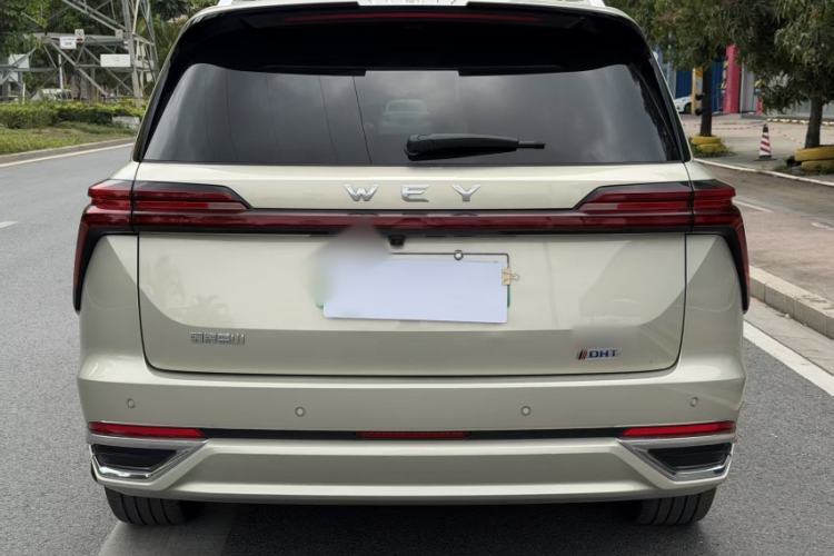 Used Wey Lanshan 2023 Two-Wheel Drive Long-Range Version Exterior 4