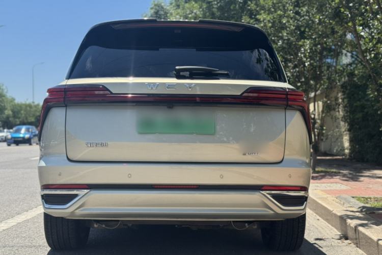 Used Wey Lanshan 2023 Four-Wheel Drive Ultra-Long Range Version Exterior 5