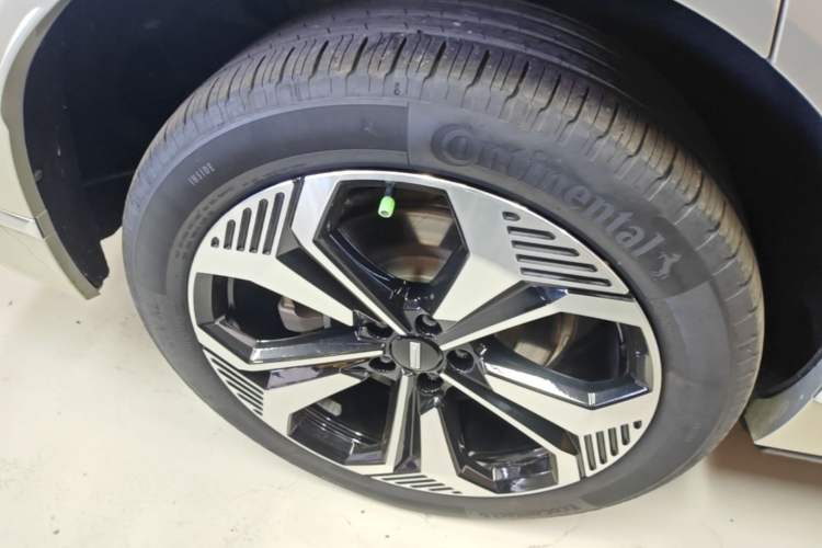 Used Wey Lanshan 2023 Four-Wheel Drive Ultra-Long Range Version Exterior 5