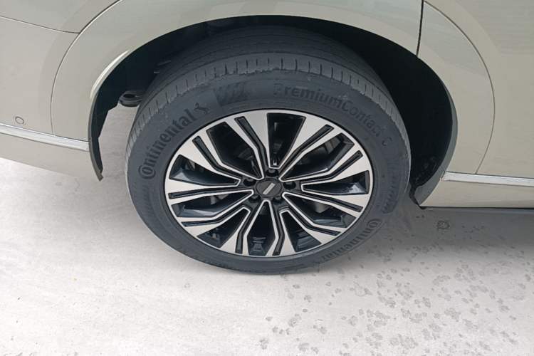 Used Wey Lanshan 2023 Four-Wheel Drive Ultra-Long Range Version Exterior 5
