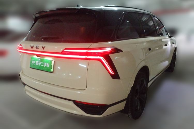 Used Wey Lanshan 2023 Four-Wheel Drive Ultra-Long Range Version Exterior 5