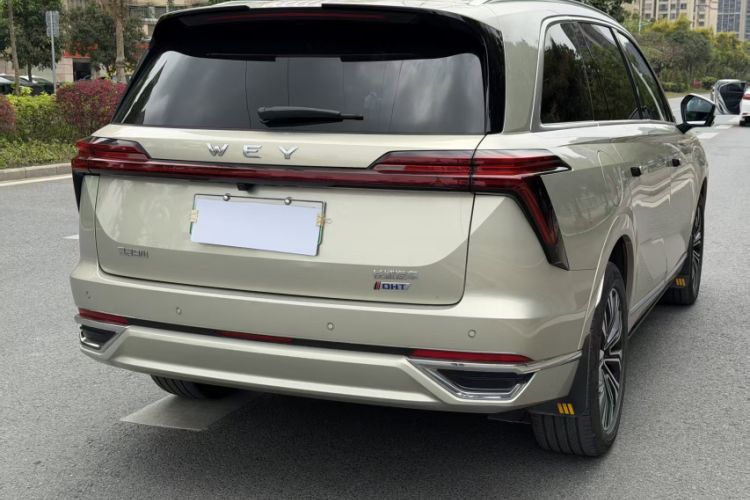 Used Wey Lanshan 2023 Two-Wheel Drive Long-Range Version Exterior 6
