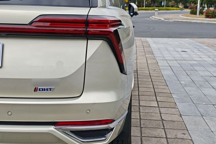 Used Wey Lanshan 2023 Four-Wheel Drive Ultra-Long Range Version Exterior 6