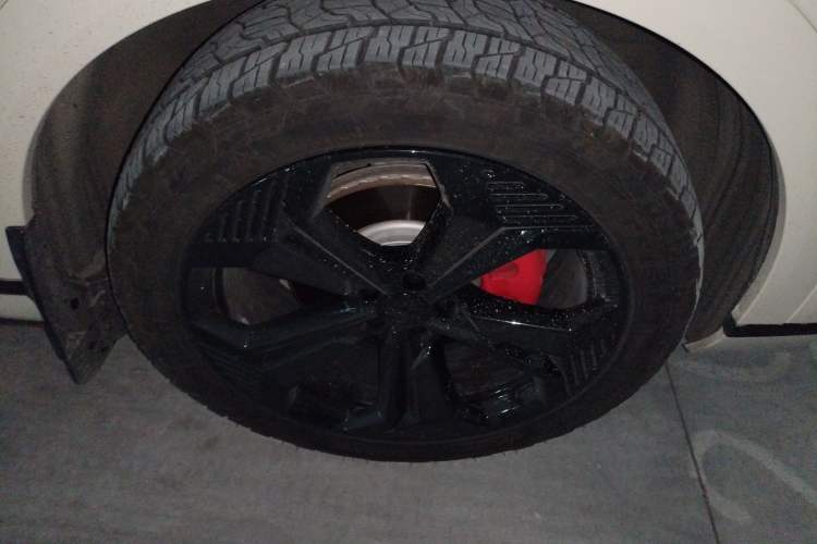 Used Wey Lanshan 2023 Four-Wheel Drive Ultra-Long Range Version Exterior 7